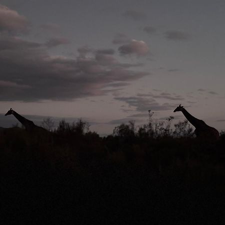 Wildehondekloof Game Lodge Matjiesrivier  Ngoại thất bức ảnh