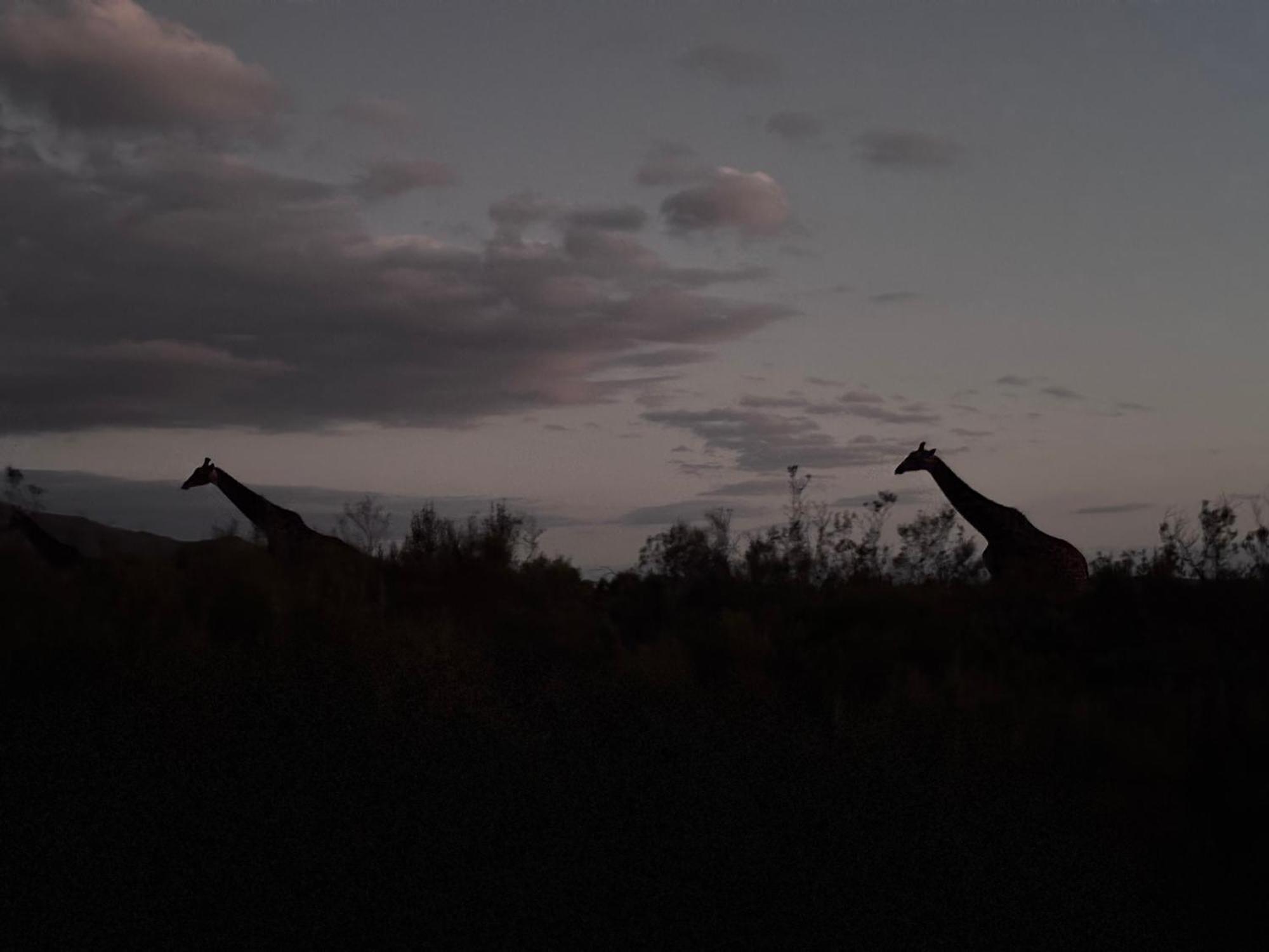 Wildehondekloof Game Lodge Matjiesrivier  Ngoại thất bức ảnh